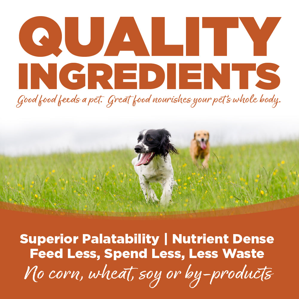 NutriSource Dog HVST HUNTERS 12.3OZ