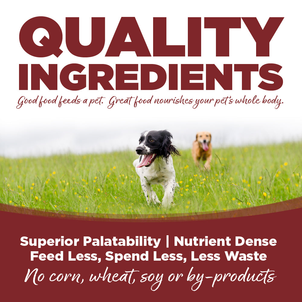 NutriSource Dog HVST FIELD 12.3OZ