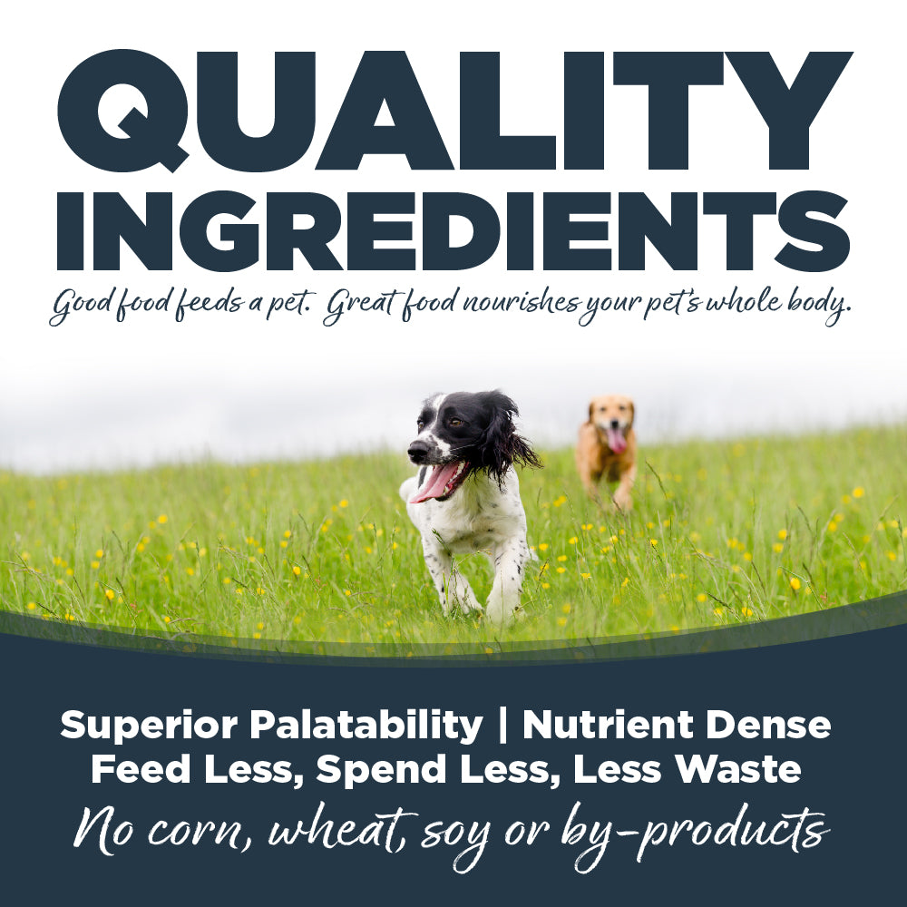 NutriSource Dog HVST NRTH FST 12.3OZ