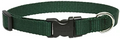 LupinePet Basic Solids Green Adjustable Dog Collar - 3/4 in x 9-14 in