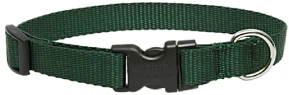 LupinePet Basic Solids Green Adjustable Dog Collar - 3/4 in x 9-14 in