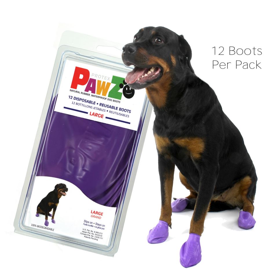 PAWZ Waterproof Dog Boots - Large - Purple - 12 ct