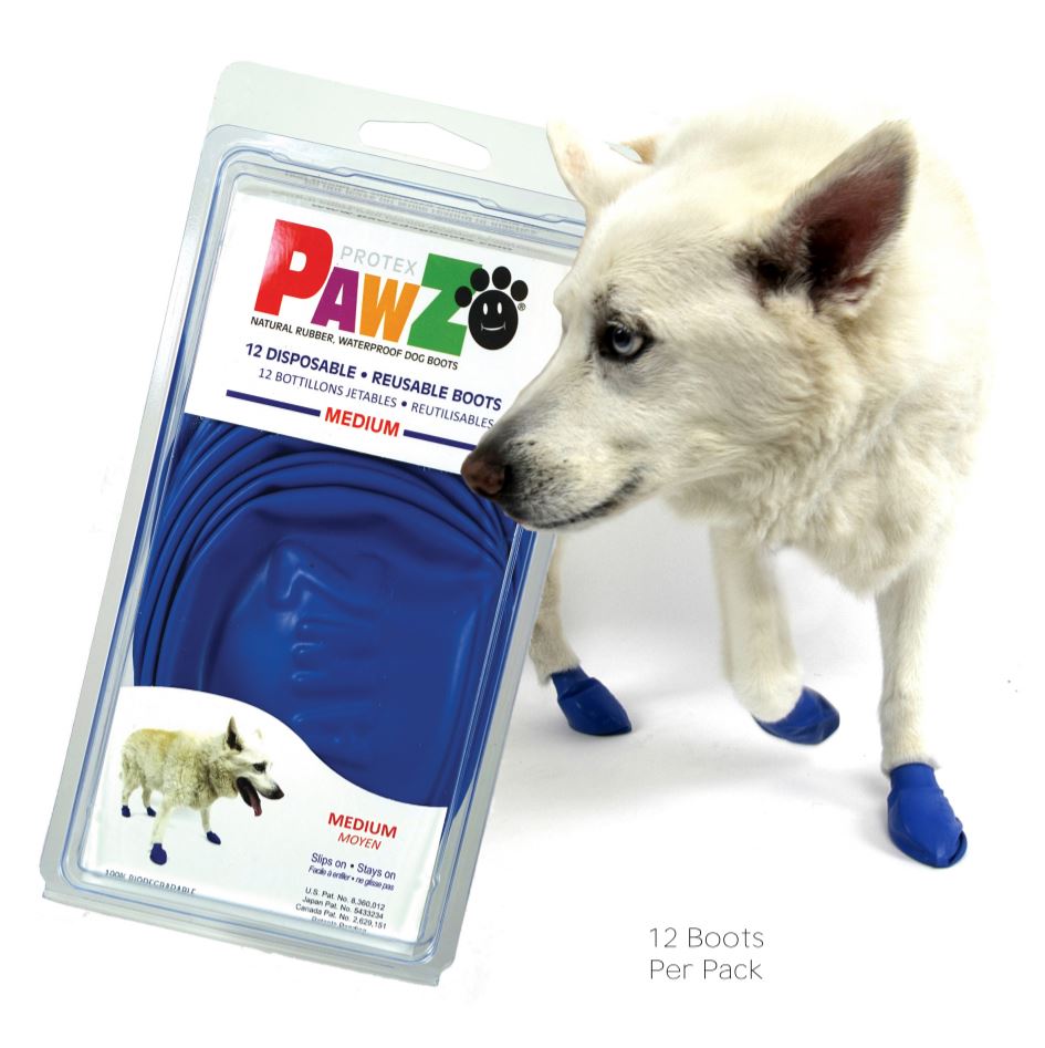 PAWZ Waterproof Dog Boots - Medium - Blue - 12 ct