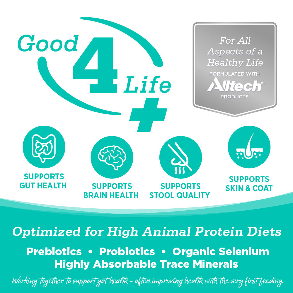 NutriSource Cat Grain-Free SEL CNTRY 12#