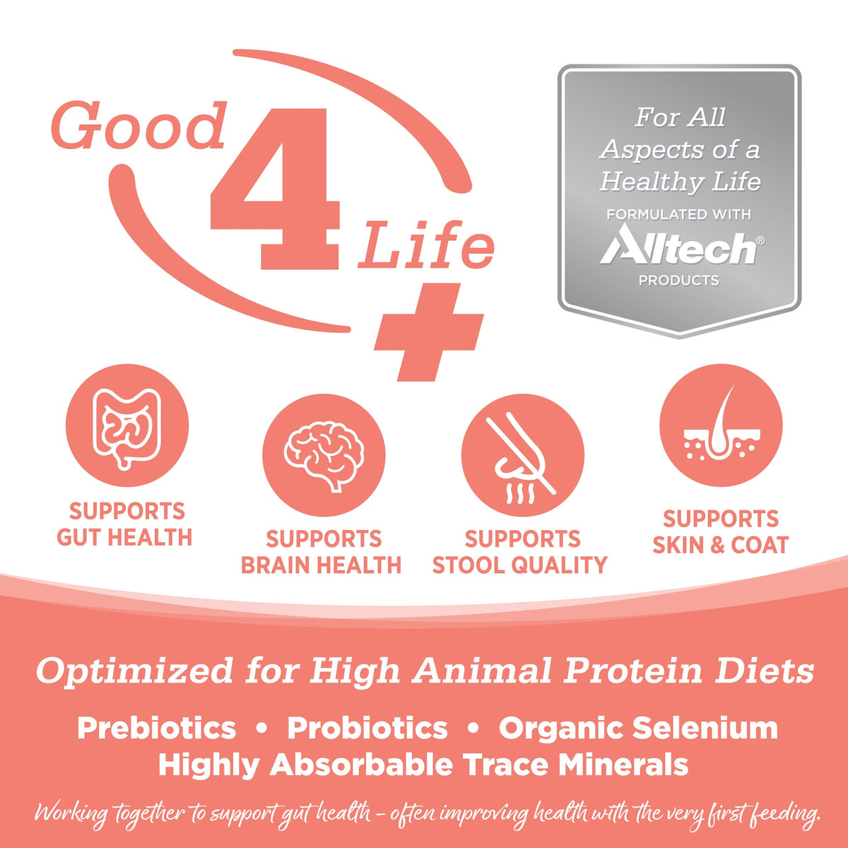 NutriSource Cat Grain-Free SEL OCN 4#