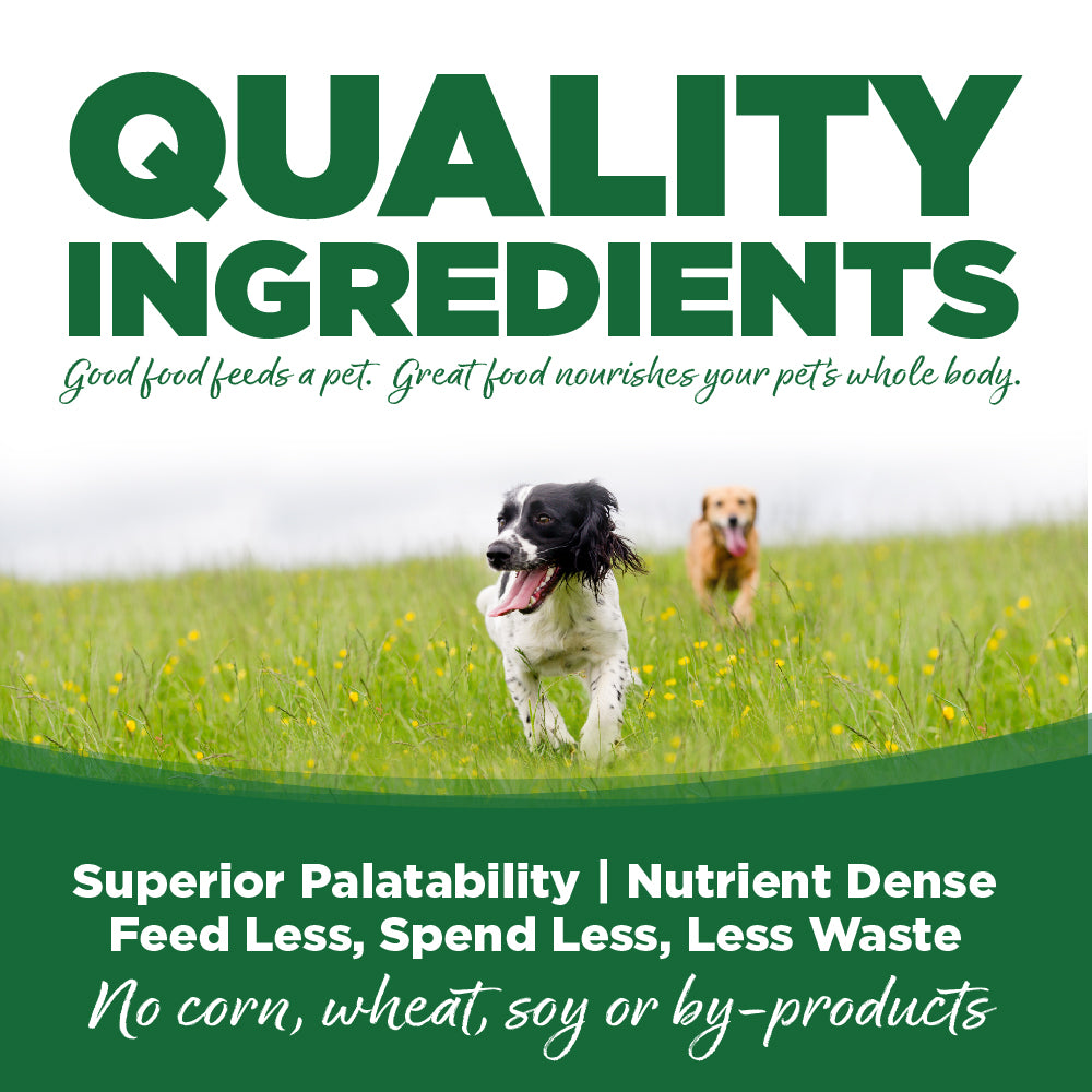 NutriSource Dog Turkey RC 12.3OZ