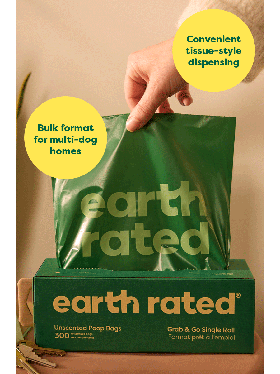 Earth Rated Dog BG LVNDR 300CT