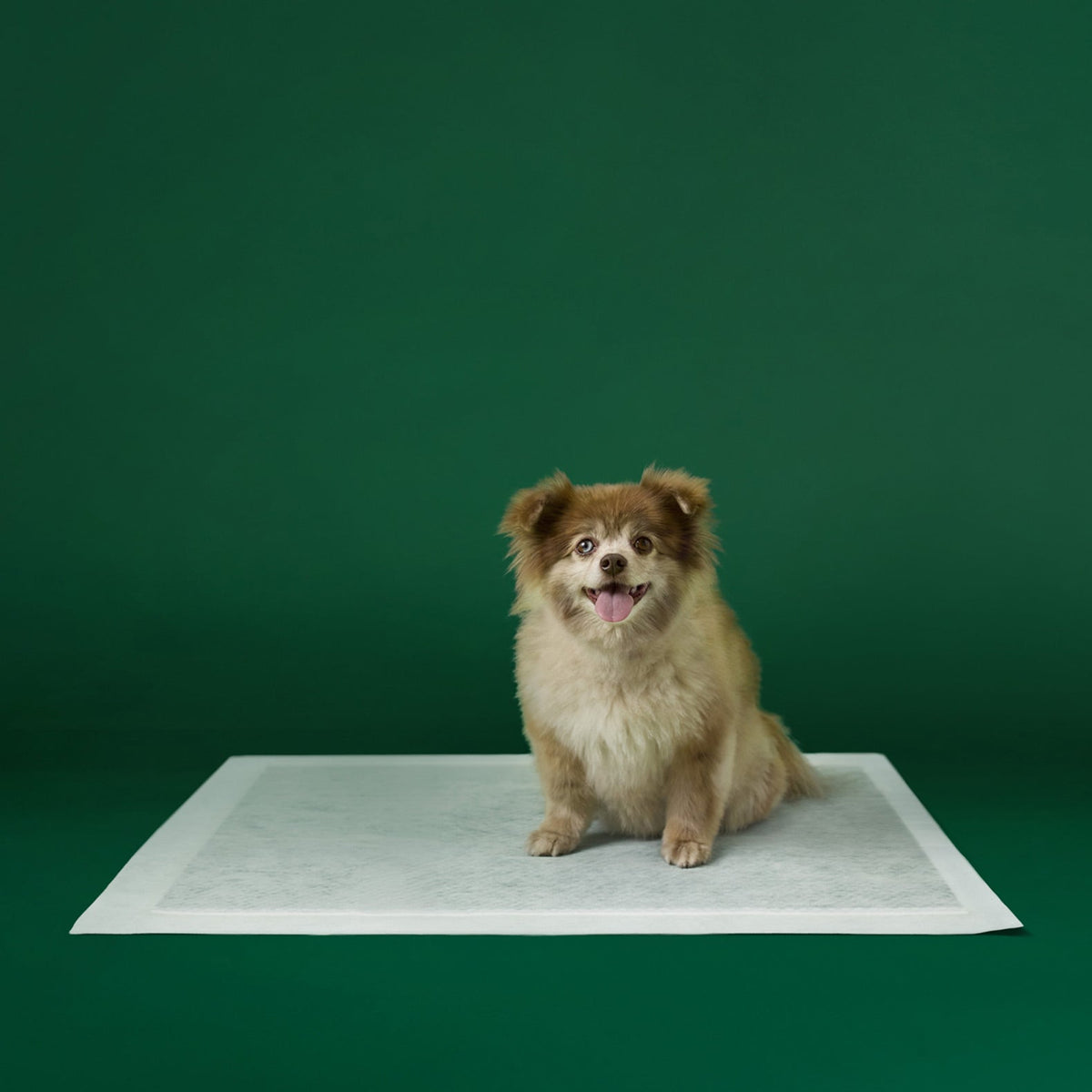 Earth Rated Dog PEE PDS LG 7CT