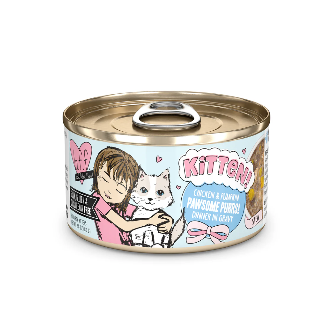 Weruva BFF Play Pâté Kitten Pawsome Chicken & Pumpkin Wet Cat Food - 2.8 oz