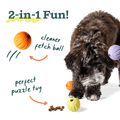 Woof Flyball - Orange