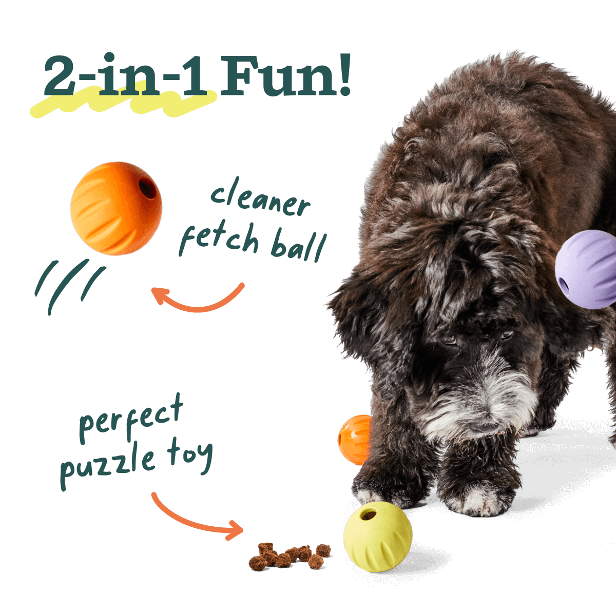Woof Flyball - Orange