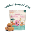 Woof Birthday Pupsicle Pops - X-Large 12OZ 5-Pack