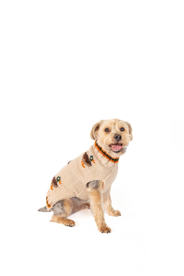 Lucky Duck Dog Sweater