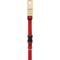 LupinePet Basic Solids Red Adjustable Dog Collar - 3/4 in x 13-22 in