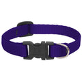 LupinePet Basic Solids Purple Adjustable Dog Collar - 1/2 in x 8-12 in