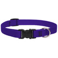 LupinePet Basic Solids Purple Adjustable Dog Collar - 3/4 in x 13-22 in