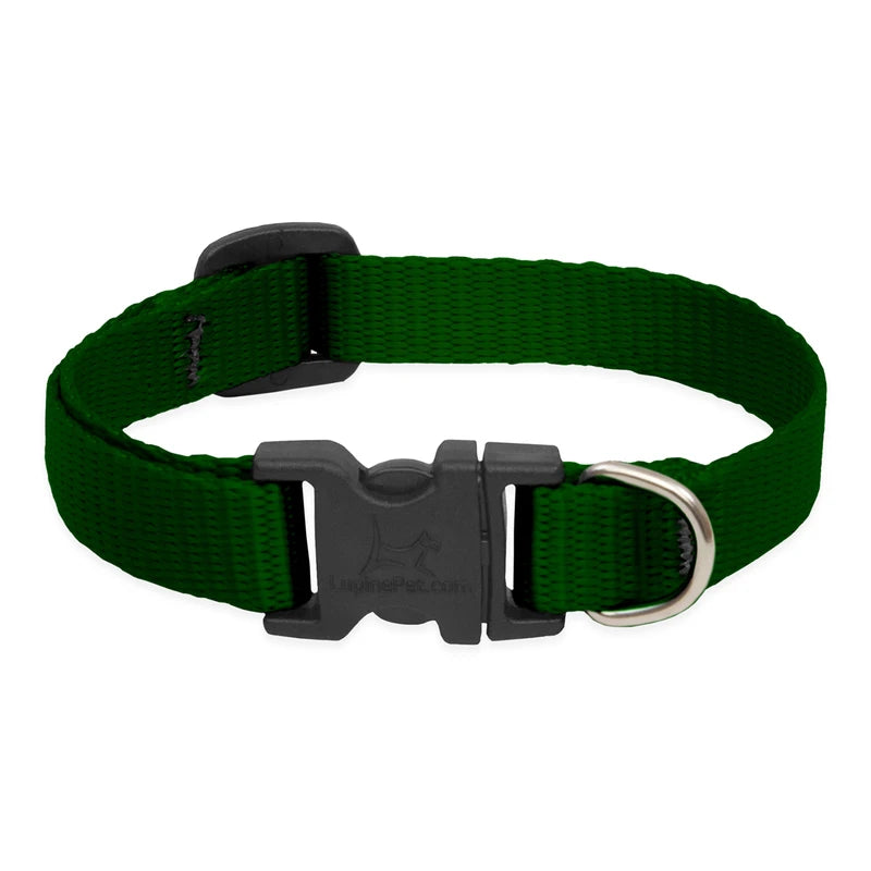 LupinePet Basic Solids Green Adjustable Dog Collar - 1/2 in x 8-12 in