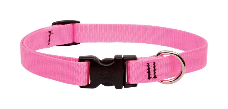 LupinePet Basic Solids Pink Adjustable Dog Collar - 3/4 in x 13-22 in