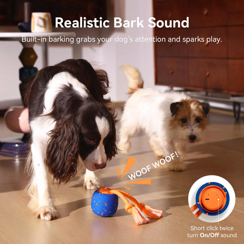 Cheerble Wicked Ball Rolly Automatic Fetch Dog Toy with Rope