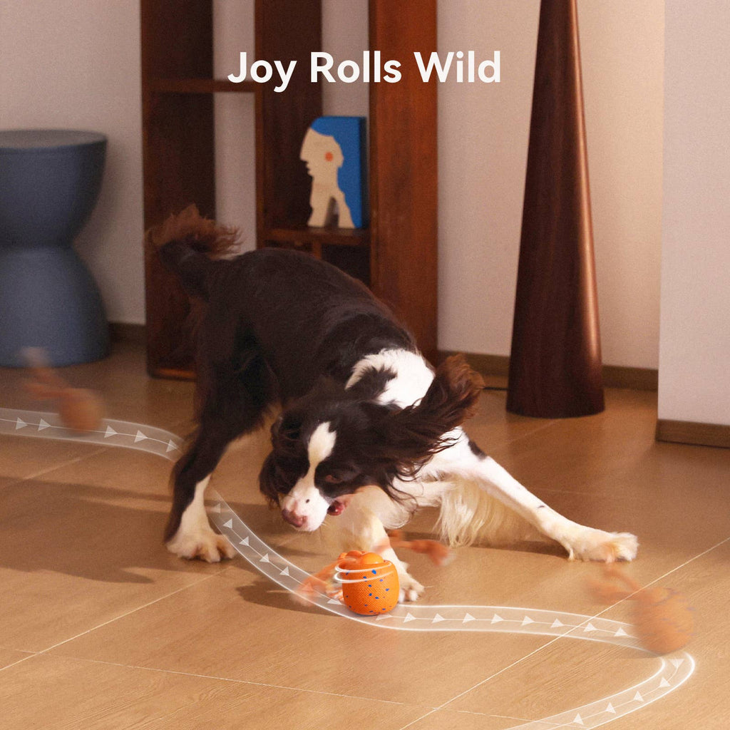 Cheerble Wicked Ball Rolly Automatic Fetch Dog Toy with Rope