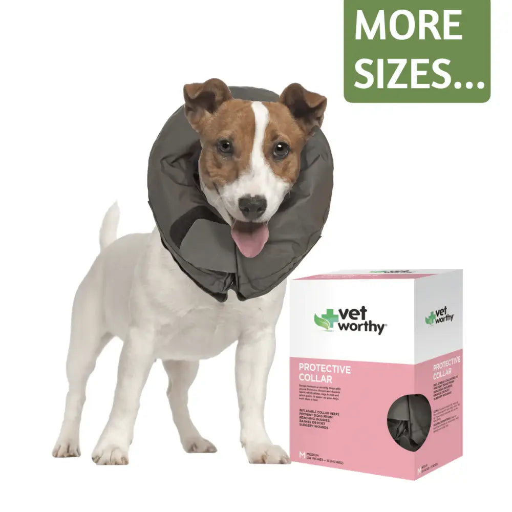 Vet Worthy Pet Protective Collar Boxed