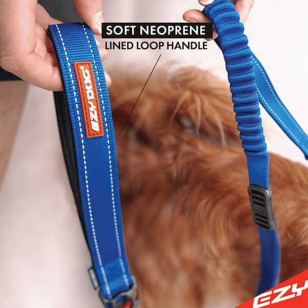 Ezydog Zero Shock Leash
