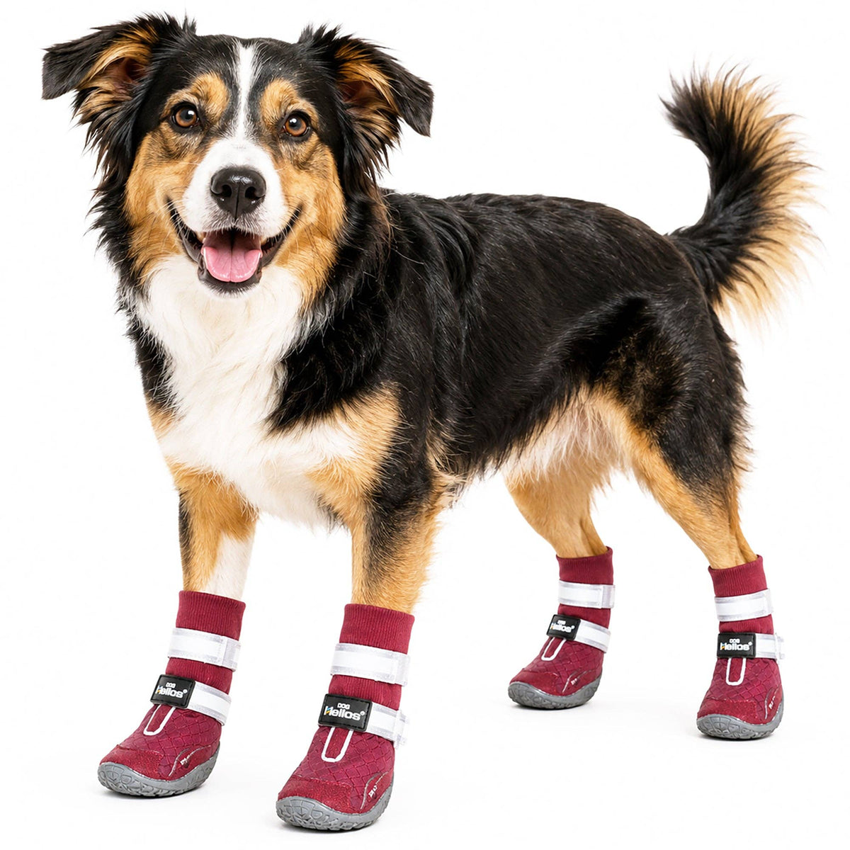 Dog Helios 'Traverse' Premium Grip High-Ankle Outdoor Dog