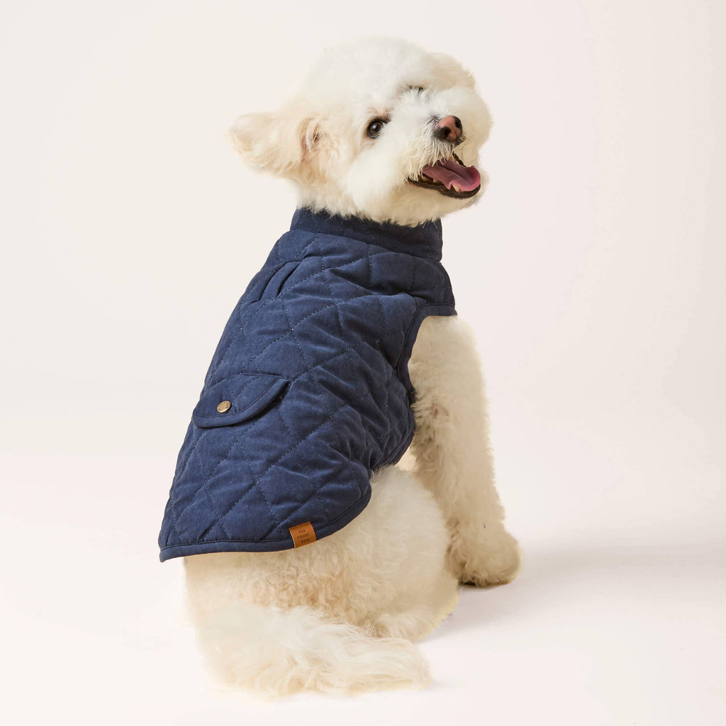 Navy Sherpa-Lined Reversible Dog Jacket