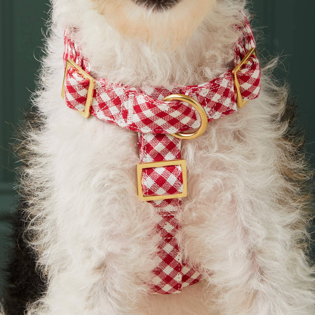 Red Gingham Dog Harness