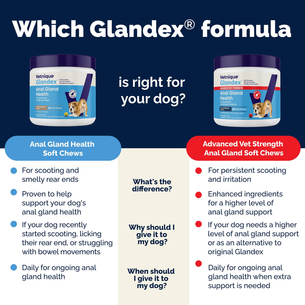 Glandex Anal Gland Support Soft Chews Bacon & Pumpkin 30ct