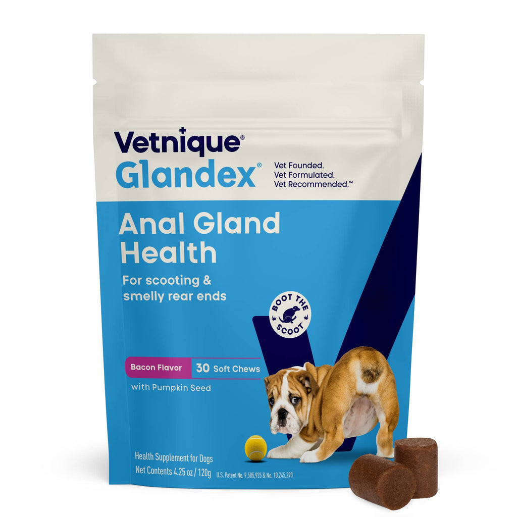 Glandex Anal Gland Support Soft Chews Bacon & Pumpkin 30ct