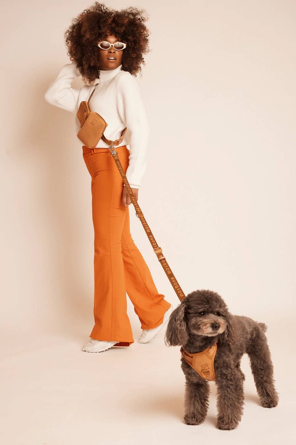 GO! With Ease Hands-Free Leash for Dogs