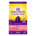 Wellness Complete Health Sensitive Skin & Stomach Salmon & Rice Dry Dog Food - 5 lb