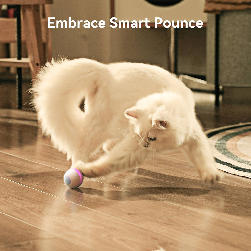 Cheerble Wicked Ball M3 Automatic Ball & Interactive Cat Toy