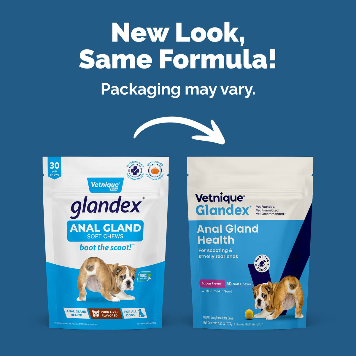 Glandex Anal Gland Support Soft Chews Bacon & Pumpkin 30ct