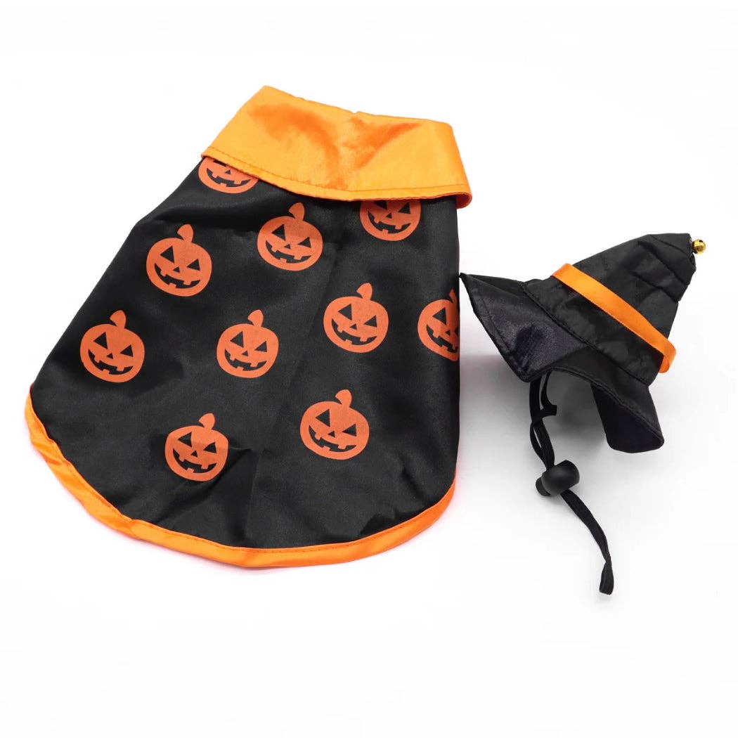 Ozzie - Pumpkin Witch Hat Halloween Pet Costume