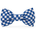 Lake Blue Gingham Dog Bow Tie