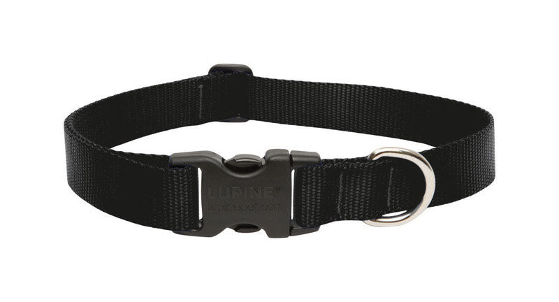 LupinePet Basic Solids Black Adjustable Dog Collar - 1 in x 12-20 in