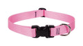 LupinePet Basic Solids Pink Adjustable Dog Collar - 1 in x 16-28 in