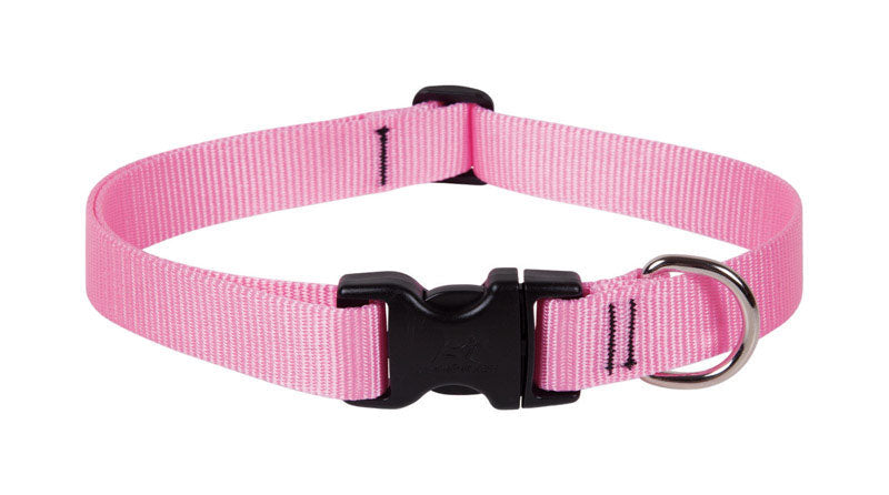LupinePet Basic Solids Pink Adjustable Dog Collar - 1 in x 16-28 in