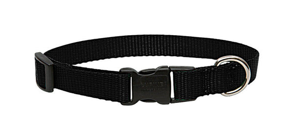 LupinePet Basic Solids Black Adjustable Dog Collar - 3/4 in x 13-22 in