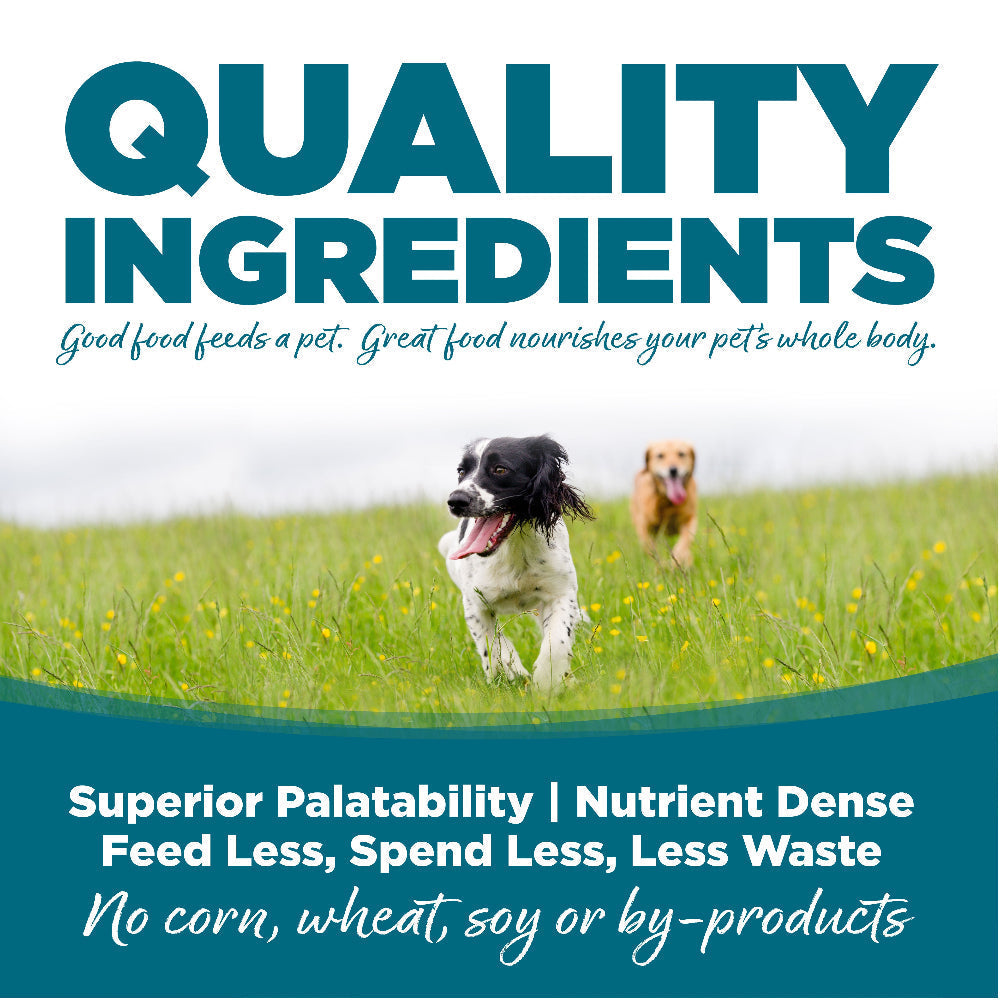 NutriSource Dog ADLT Chicken RC 4#