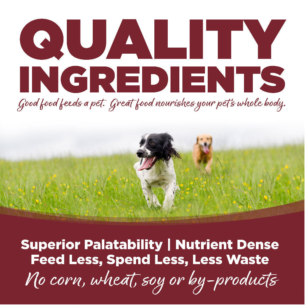 NutriSource Dog ADLT Beef RC 12#