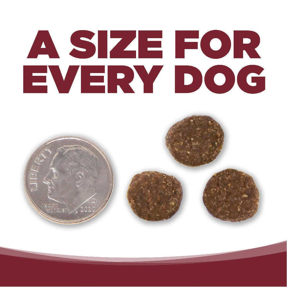 NutriSource Dog ADLT Beef RC 12#