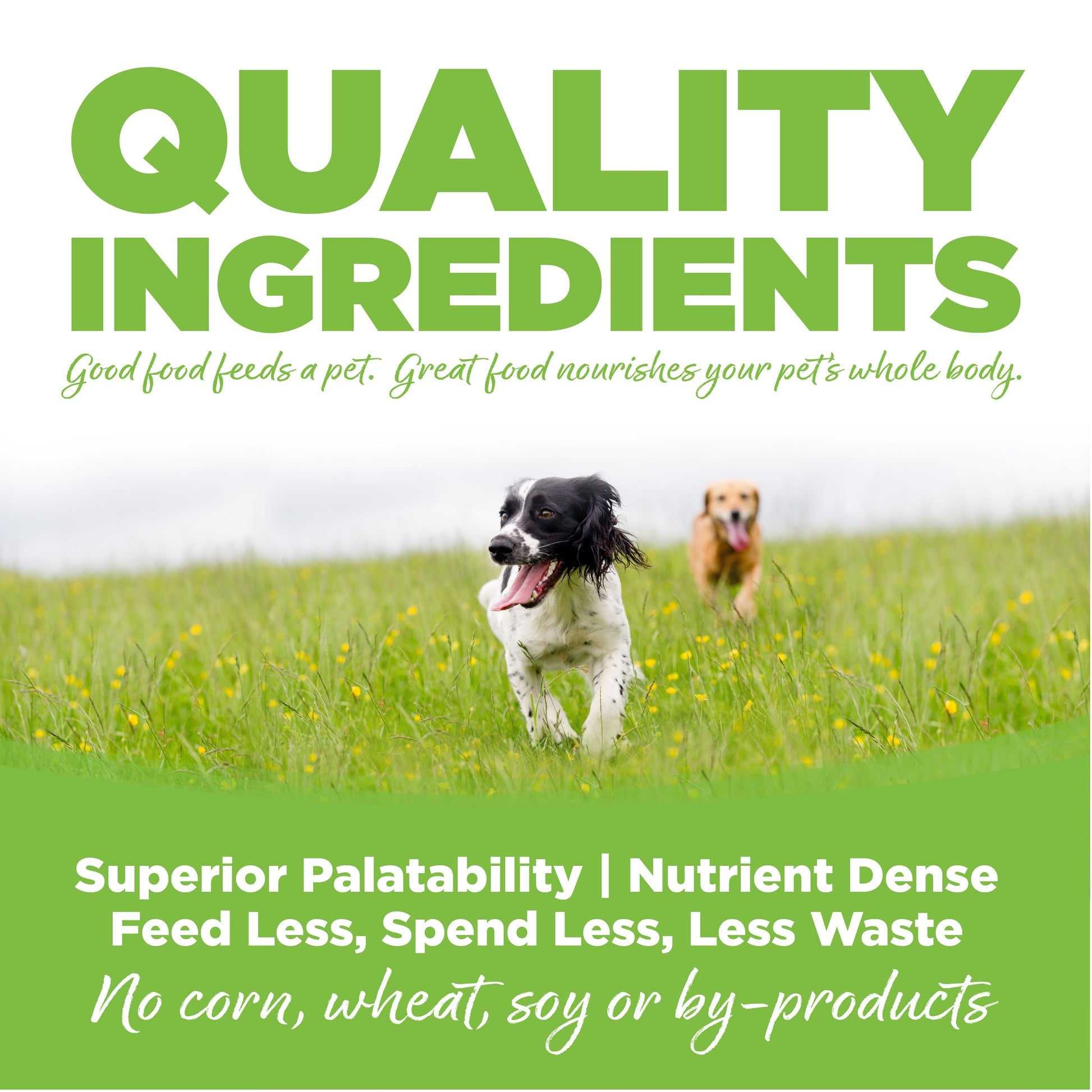 NutriSource Dog WTMGMT Chicken RC 12#