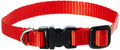 LupinePet Basic Solids Red Adjustable Dog Collar - 1/2 in x 8-12 in