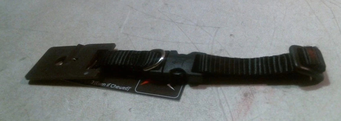 LupinePet Basic Solids Black Adjustable Dog Collar - 1/2 in x 8-12 in
