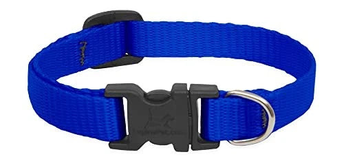 LupinePet Basic Solids Blue Adjustable Dog Collar - 1/2 in x 8-12 in